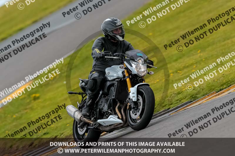 PJ Motorsport 2019;anglesey no limits trackday;anglesey photographs;anglesey trackday photographs;enduro digital images;event digital images;eventdigitalimages;no limits trackdays;peter wileman photography;racing digital images;trac mon;trackday digital images;trackday photos;ty croes